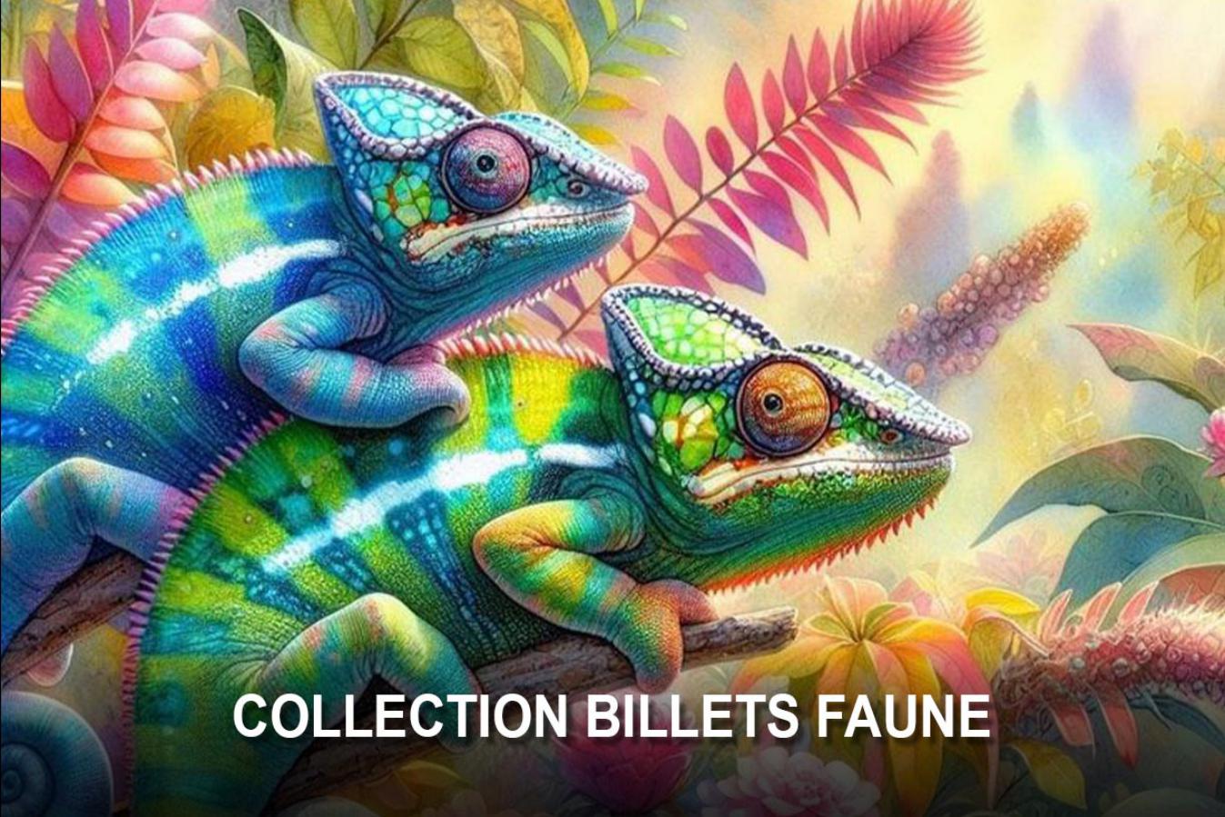 Collection Faune réunion
